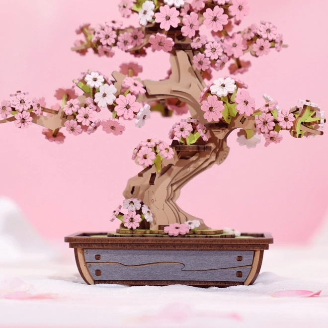 3D Holzpuzzle Bonsai Sakura