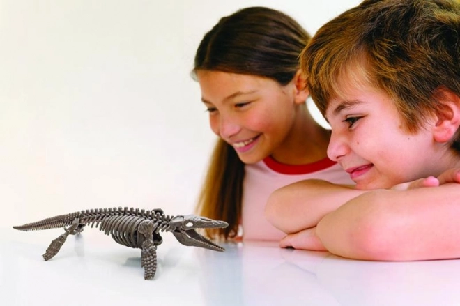 4M Mosasaurus Skelett