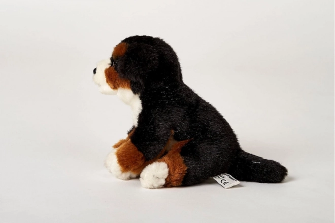 Plüsch Berner Sennenhund 16 cm