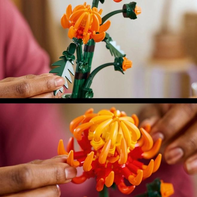 Realistische Details und Wachstumsphasen