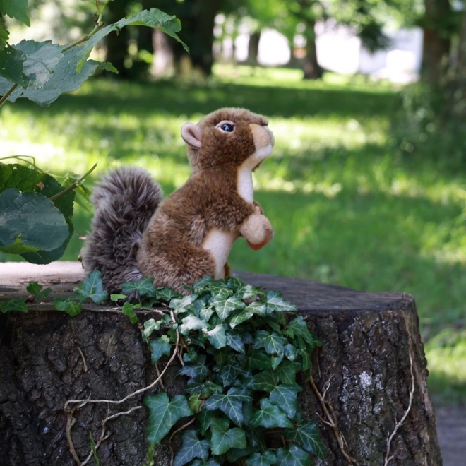 Plüsch-Eichhörnchen mit Nuss 20 cm umweltfreundlich