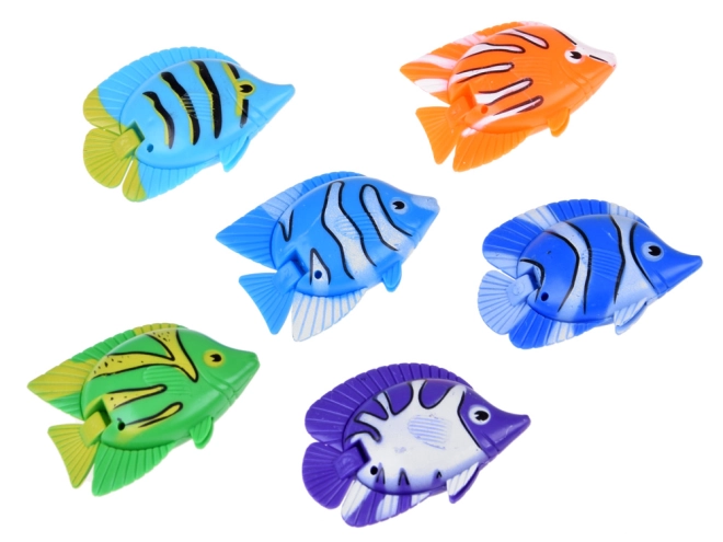 6 farbenfrohe Fische