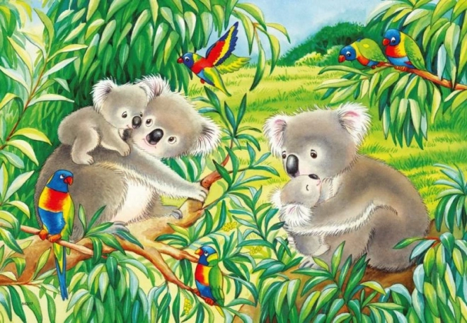 Ravensburger Puzzle süße Koalas und Pandas