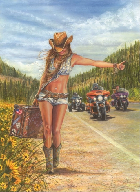 Puzzle American Gypsy 1000 Teile