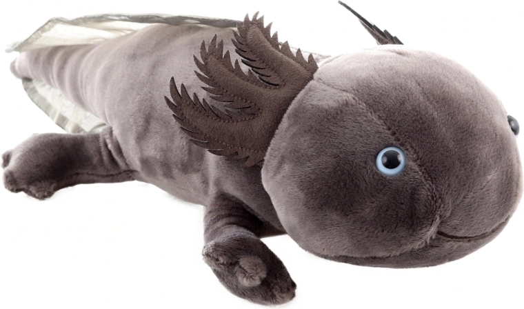 Sicher ab der Geburt