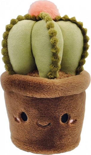 Kaktus-Maskottchen 23 cm