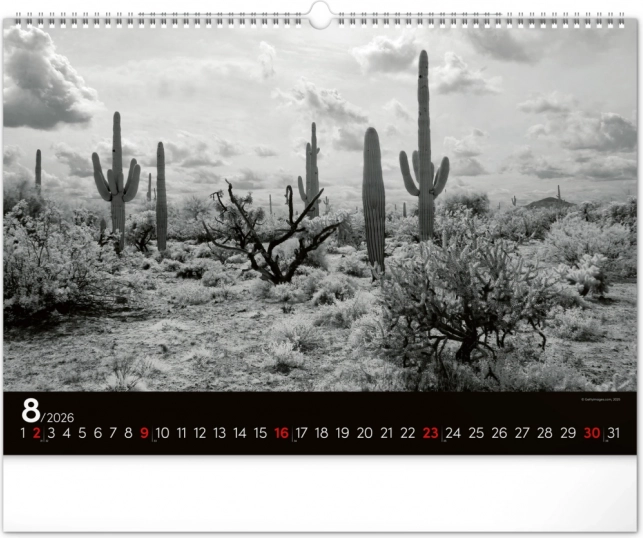 Wandkalender Traumlandschaft 2026