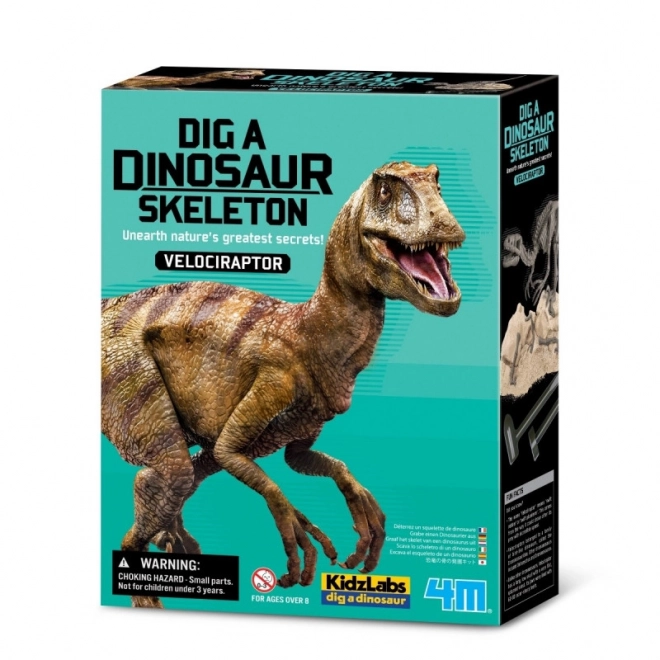 Archäologie-Set - Velociraptor