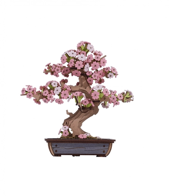 3D Holzpuzzle Bonsai Sakura
