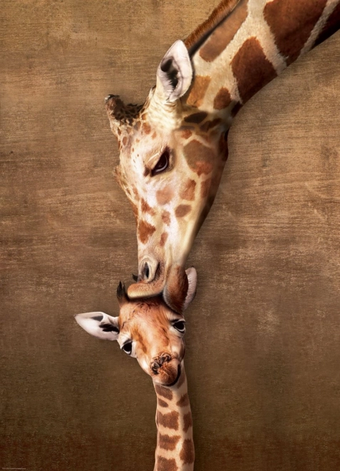 Eurographics Puzzle Giraffenkuss 1000 Teile