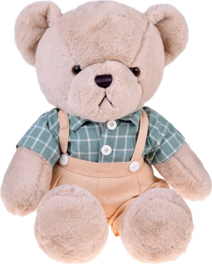 Stilvolles Hemd im Retro-Karo