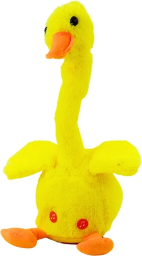 Wiederholt Wörter und unterhält die ganze Familie