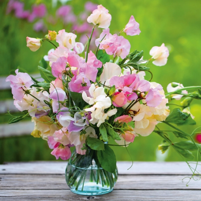 Notizkalender Blumen 2026