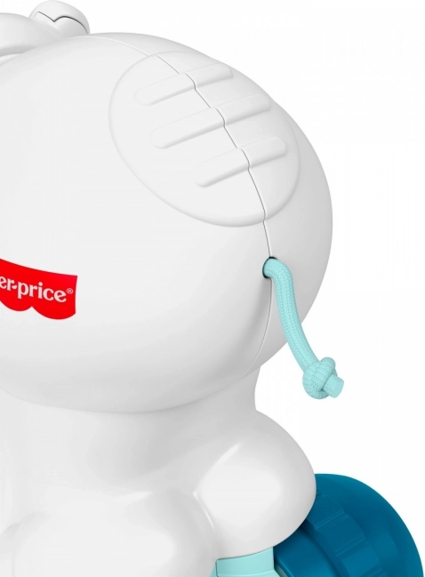 Interaktiver Krabbel-Teddybär von Fisher-Price