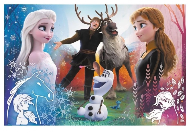 Frozen II Magische Zeit Puzzle 300 Teile