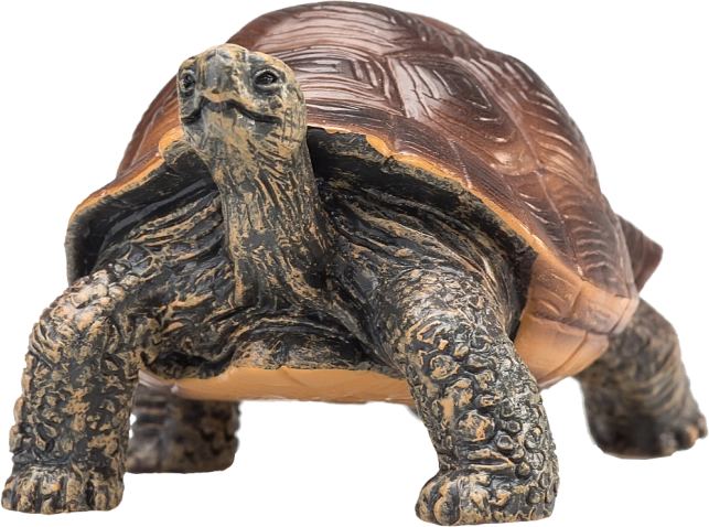 Mojo Figur – Riesenschildkröte – realistische Tierfigur