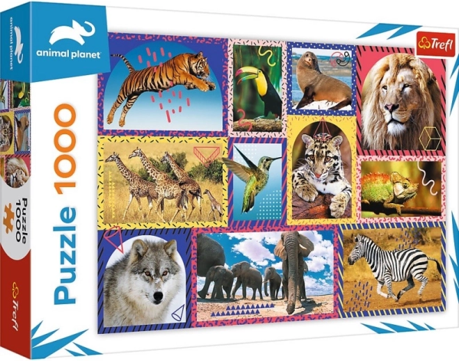 Bunte Collage wilder Tiere