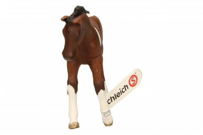 Trakehner Fohlen Spielfigur von SCHLEICH Horse Club