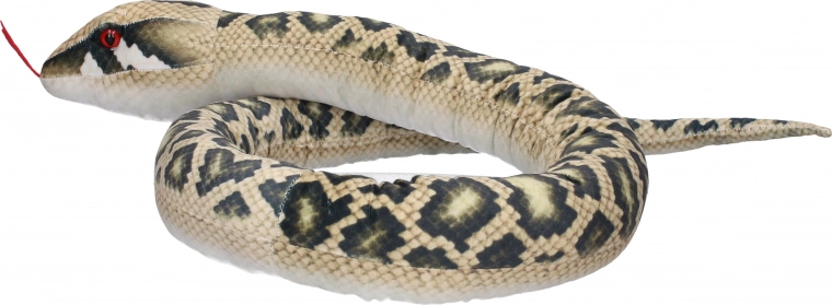 Realistische Details, die ins Auge fallen