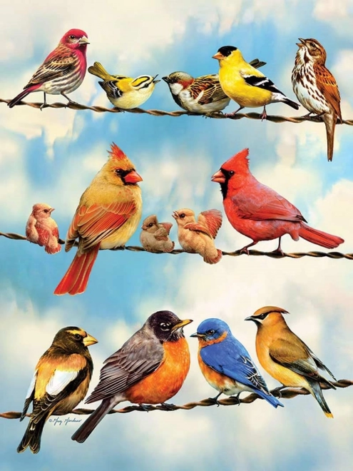 Puzzle Vögel auf dem Draht 500 Teile von Cobble Hill
