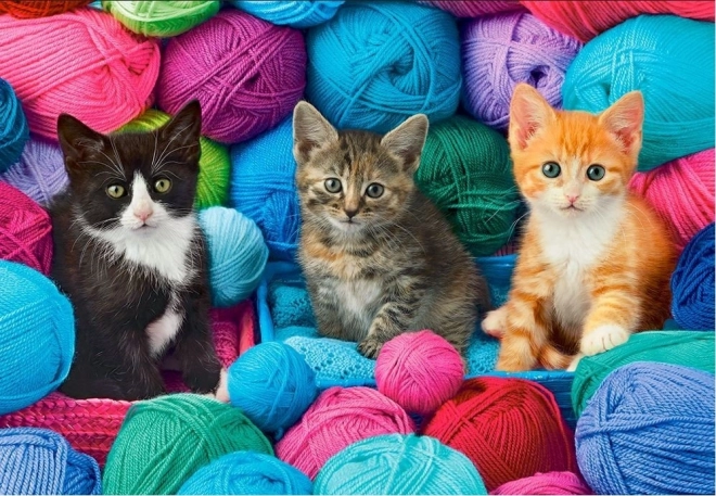 Puzzle 1000 Teile Katzen in Wollknäueln