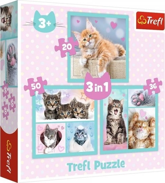 Süße Tierchen Katzen Puzzle 3-in-1