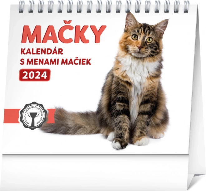 Kalender 2024 mit Katzenbildern und Katzen-Namen