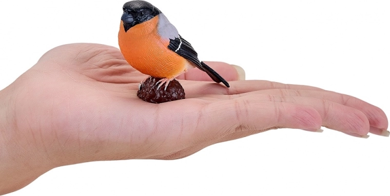 Kompakte Größe für Spiel und Lernen