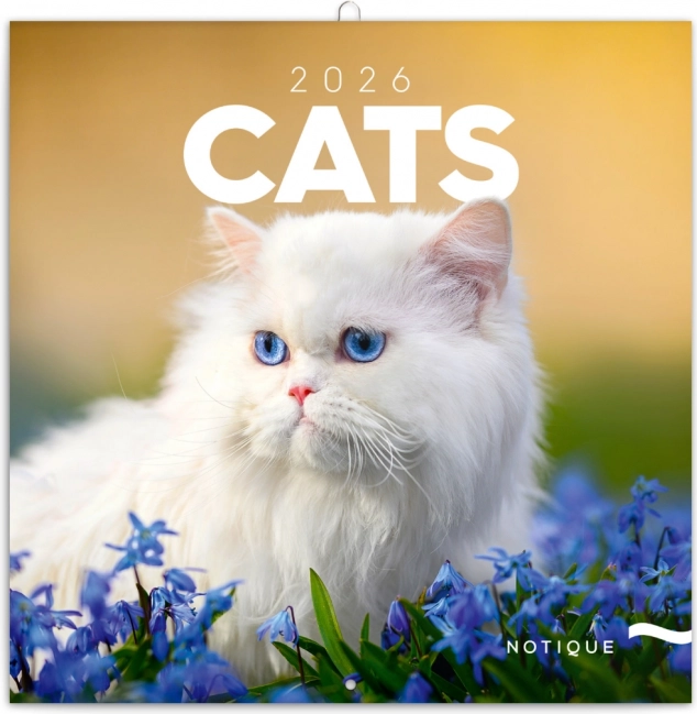 Notizkalender Katzen 2026