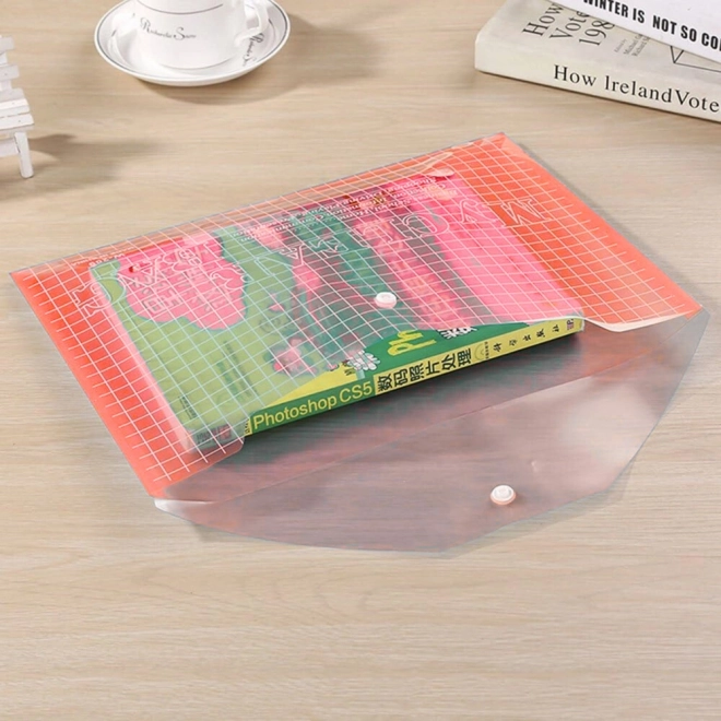 Transparenter roter Dokumentenordner mit Druckknopf A4