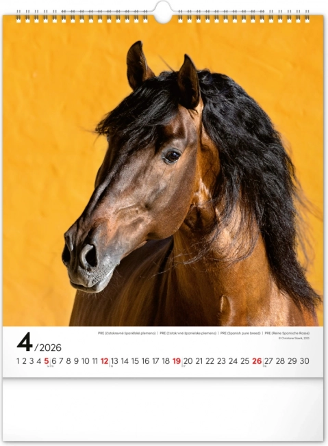 Wandkalender Pferde 2026
