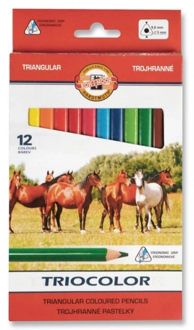 Koh-i-noor dreieckige Buntstifte Triocolor 12er Set