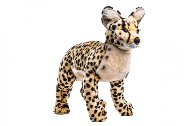 Plüsch-Savannahkatze 50 cm