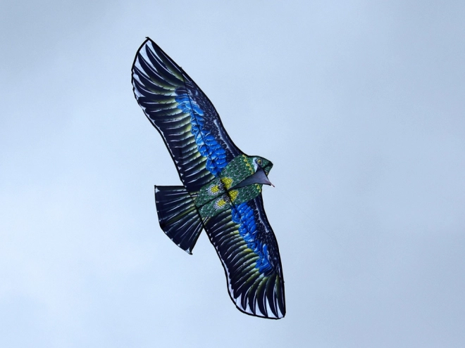 Großer leichter Drachen Adler – Realistischer Raubvogel
