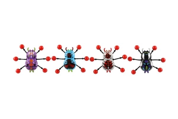 Spinne kriecht an Glas