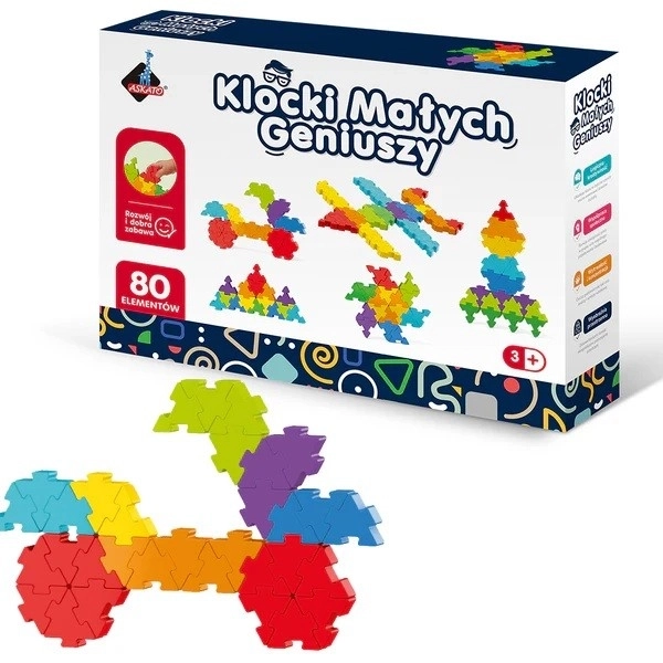 Lernspielzeug 80-teilig - Kleine Genies
