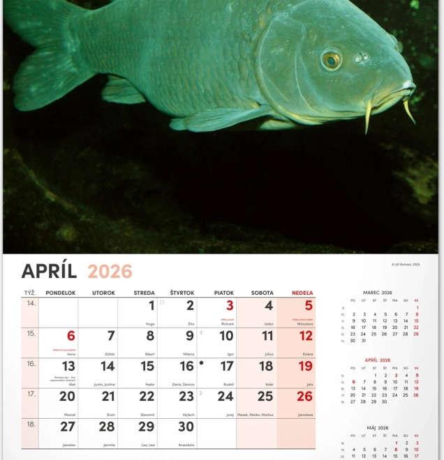 Wandkalender Angeln 2026
