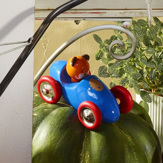 Niedlicher Fahrer Marcel aus der Boizoos-Kollektion