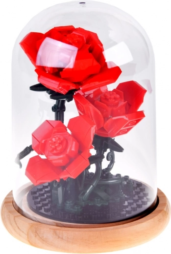 Stabile Kuppel mit Holzsockel