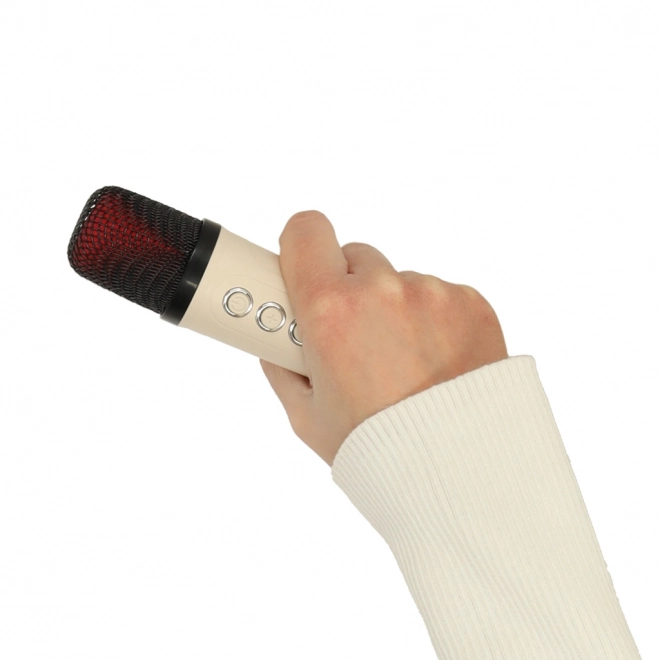 Karaoke Lautsprecher USB Bluetooth Creme