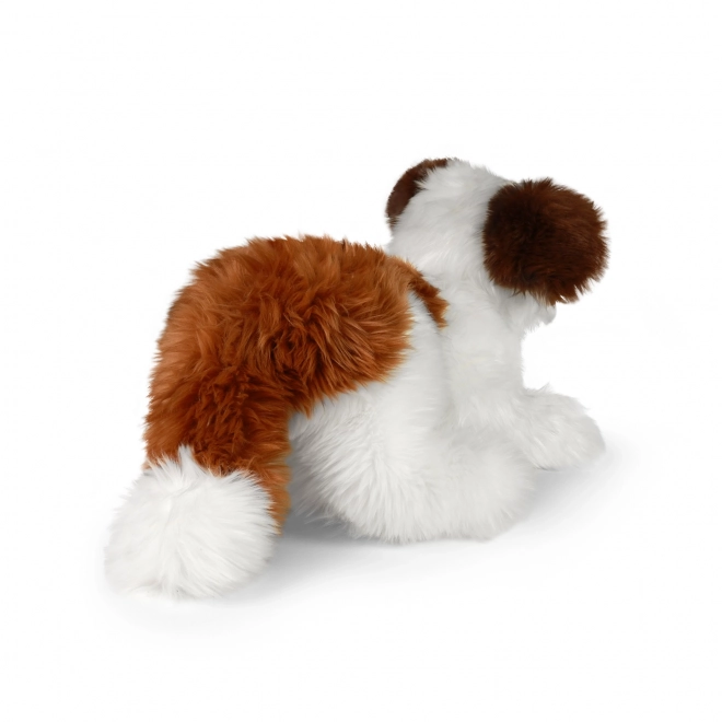 Rappa Plüschhund Shih-Tzu 45 cm