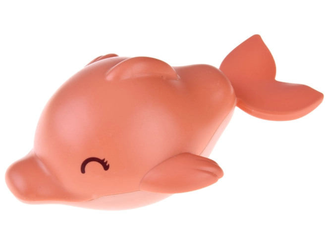 Fröhliches Baden mit dem Delfin