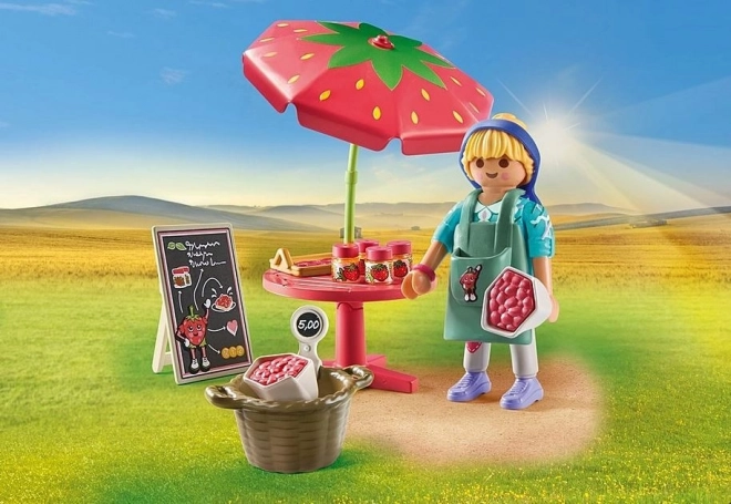 Spielset mit Figuren: PLAYMOBIL Erdbeerstand