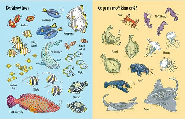 Stickerbuch Unter Wasser