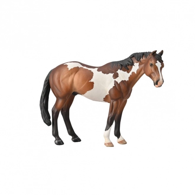 Appaloosa Bay Overo Paint Hengst Figur