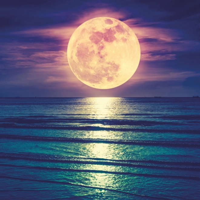 Notizkalender Mond 2026