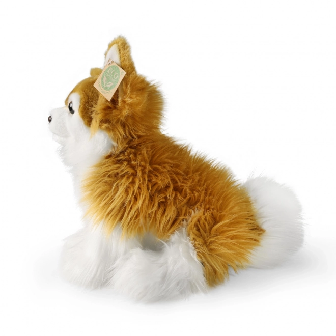 Plüschhund Chihuahua sitzend