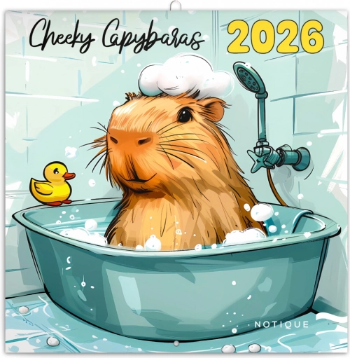Notizkalender Fröhliche Wasserschweine 2026