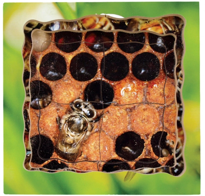 Just Jigsaws Bienenzyklus Holzpuzzle