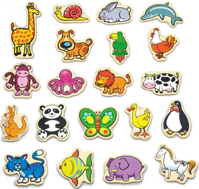 Bunte Holzmagnete Tiere - Set 20 Stk.